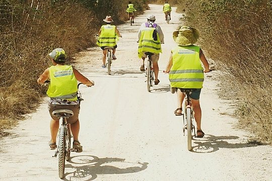 Tour image 5