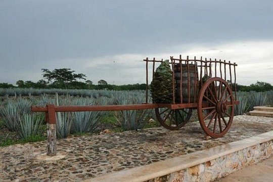 Tour image 5