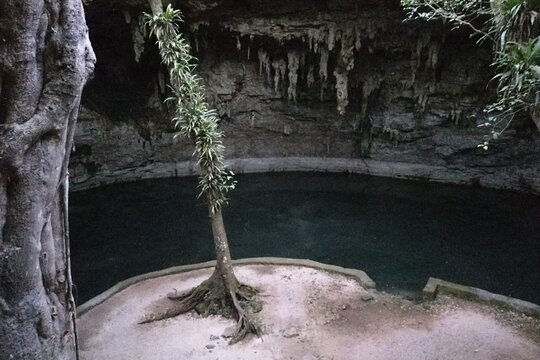 Tour image 8